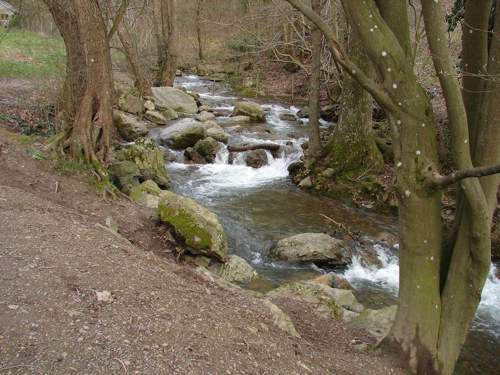 آيويل Gite Du Ninglinspo الغرفة الصورة